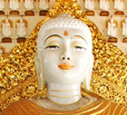 槟城缅佛寺 佛像